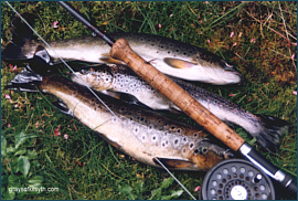 Loch Trout Fishing