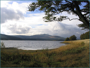 Carron Valley Fishing