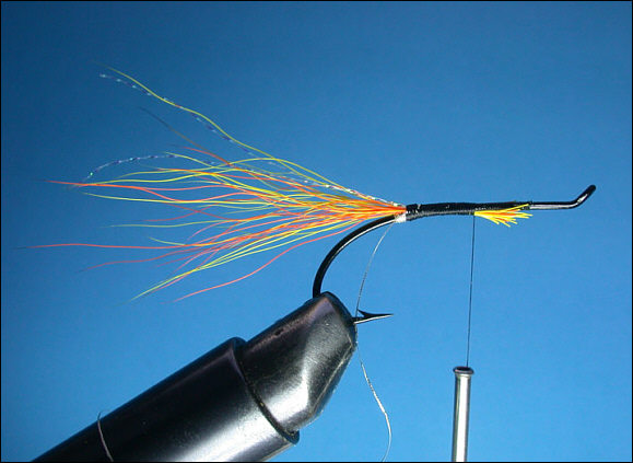 Cascade Salmon Fly - step 2