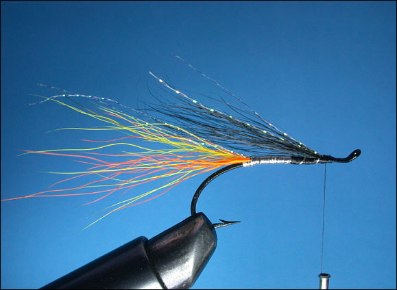 Cascade Salmon Fly - Step 4