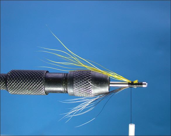 The Dusty Miller Tube Fly - step 3