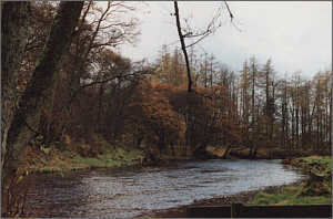  River Endrick Dam