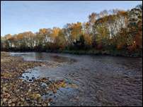 Antons Pool, Forres Angling Association