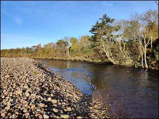 Meg Pool, Forres Angling Association