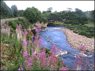 Fishing Brora