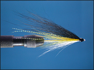 Needle Tube Fly