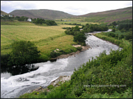 River Helmsdale Fishing