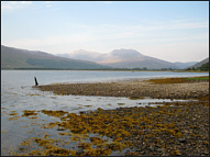 Loch Carron