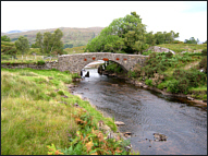 River Aline Salmon Fishing