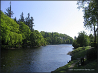 River Ness Salmon Fishing