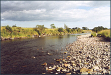 Fishing on the River Nith