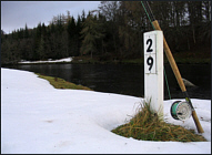 Fly Fishing on opening day