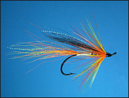 Cascade Salmon Fly