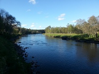 Salmon fishing at Grantown