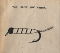 Olive Sun Nymph