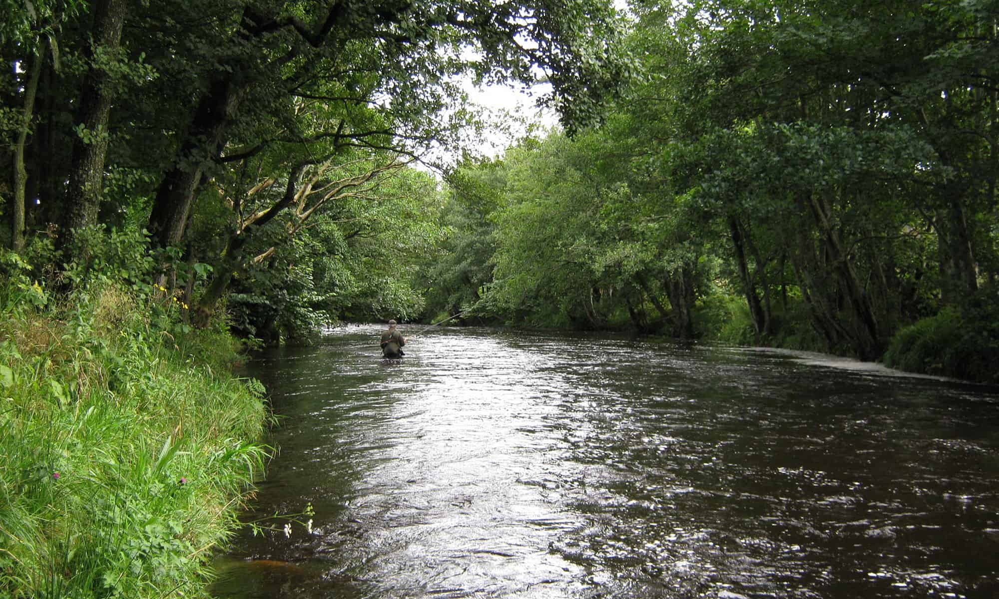 Fly Fishing