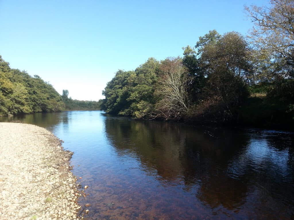 Sea Trout Fishing Pool