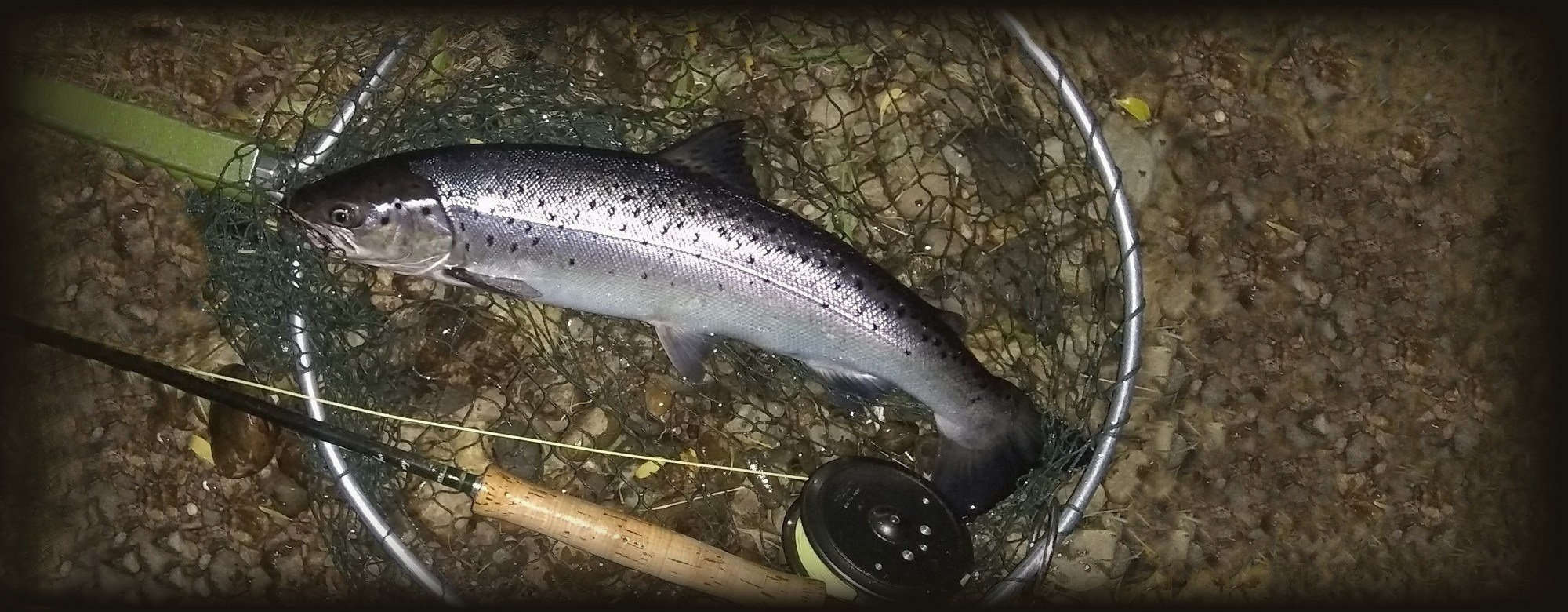 Sea Trout Fly Fishing