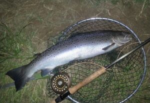 Spey Sea Trout Caught on Fly at Night