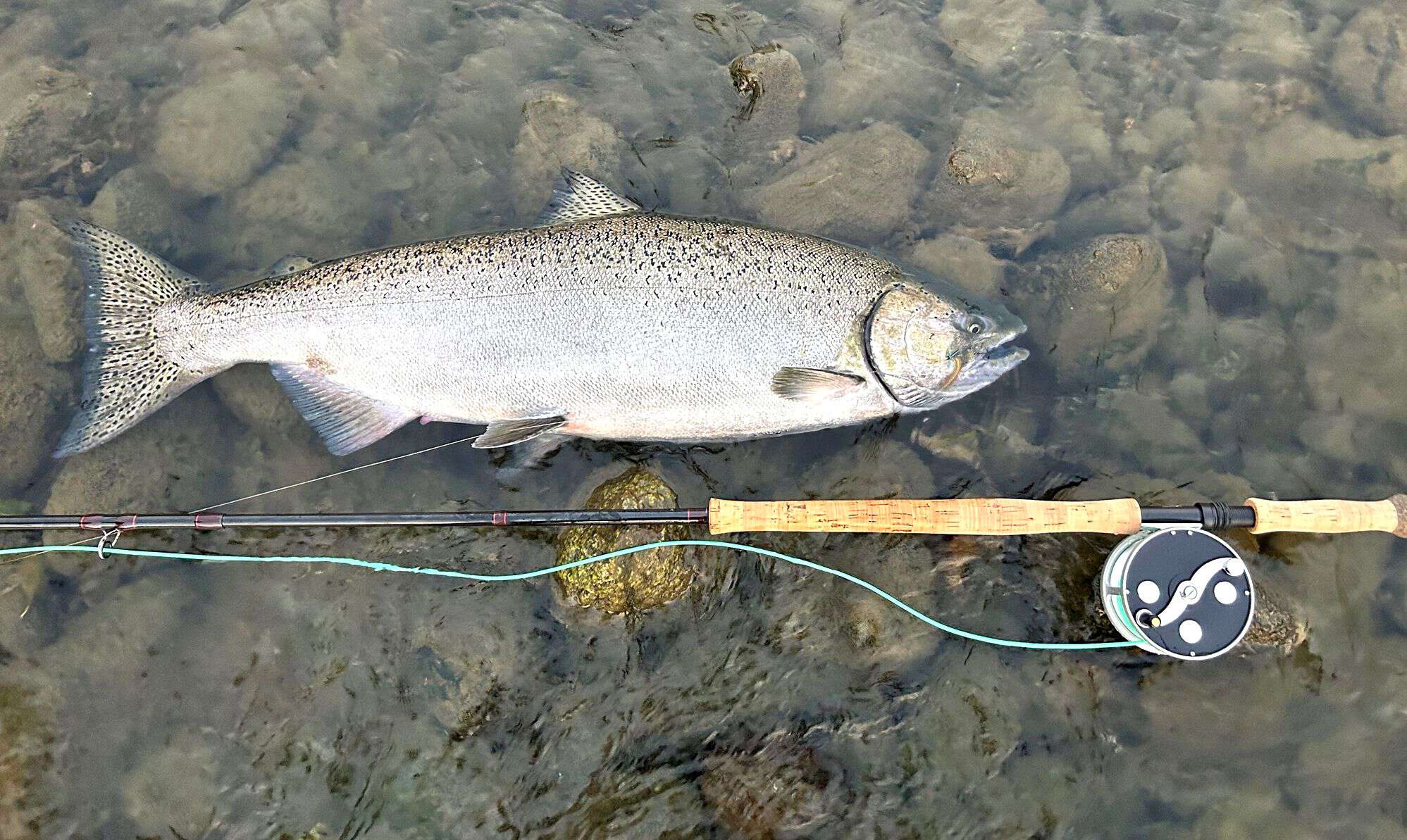 Vancouver Island Fishing