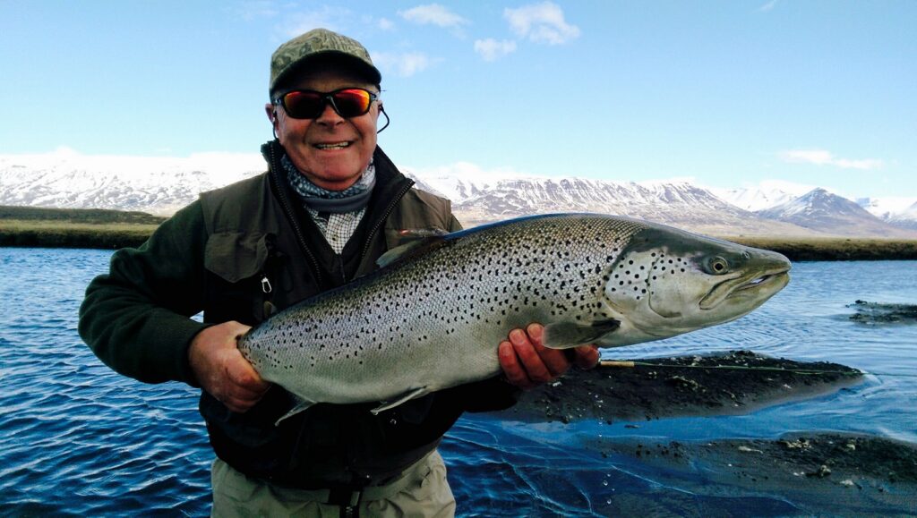 Iceland Sea Trout