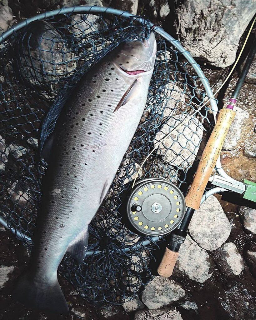 Spey sea trout on a needle tube fly