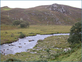 Scottish Trout Fishing