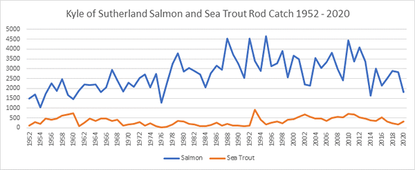 Kyle of Sutherland Salmon catch