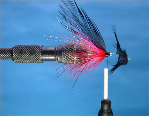 The Lammas Shrimp Tube Fly - step 10