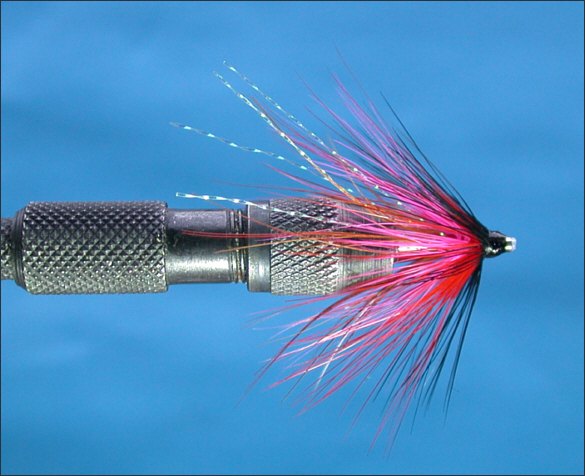 The Lammas Shrimp Tube Fly - step 11