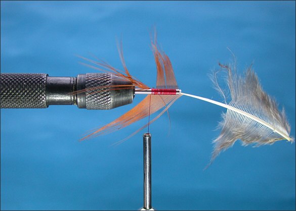 The Lammas Shrimp Tube Fly - step 2