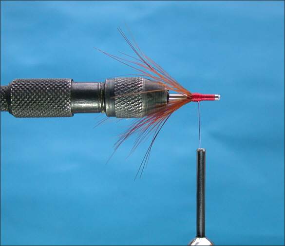 The Lammas Shrimp Tube Fly - step 3