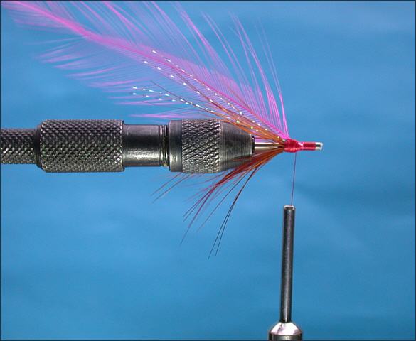 The Lammas Shrimp Tube Fly - step 5