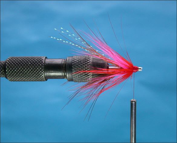 The Lammas Shrimp Tube Fly - step 8