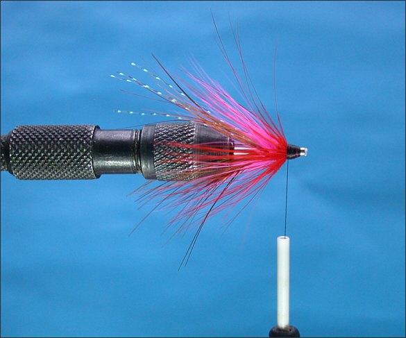 The Lammas Shrimp Tube Fly - step 9