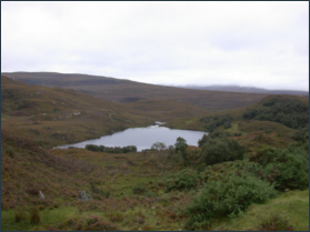 Trout Loch Sutherland