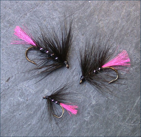 Loch Fly Variants