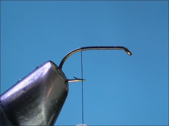 Tying the Loch Fly - step 1