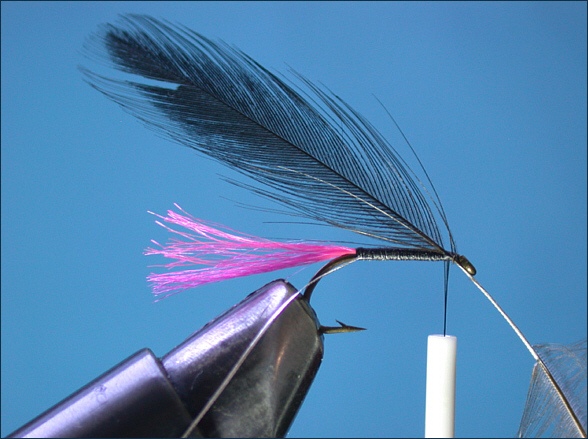 Loch Fly - step 4