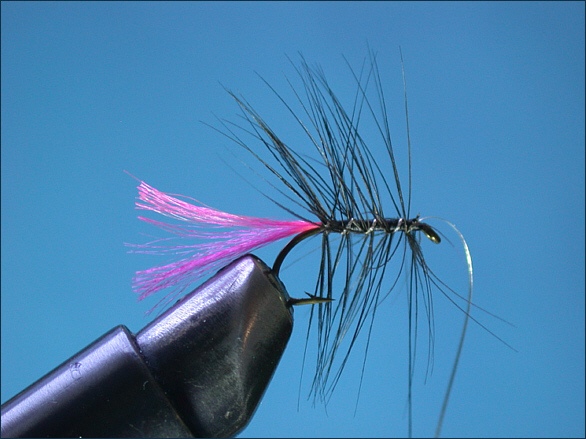 Tying the Loch Fly - step 5