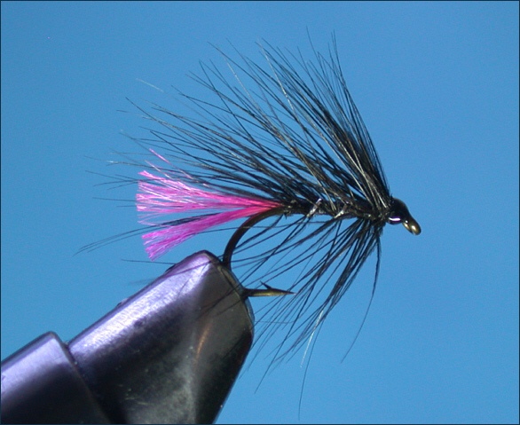 Tying the Loch Fly - step 7