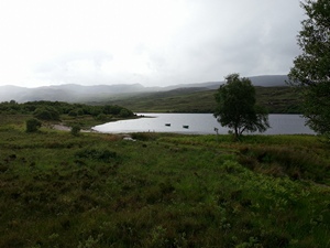 Loch Hope Fishing Boats