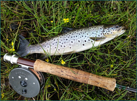 Loch Merkalnd Trout Fishing