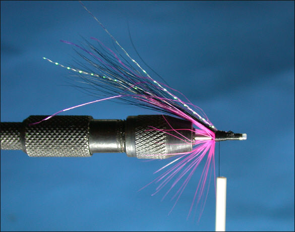 The Magus Shrimp Tube Fly - step 3