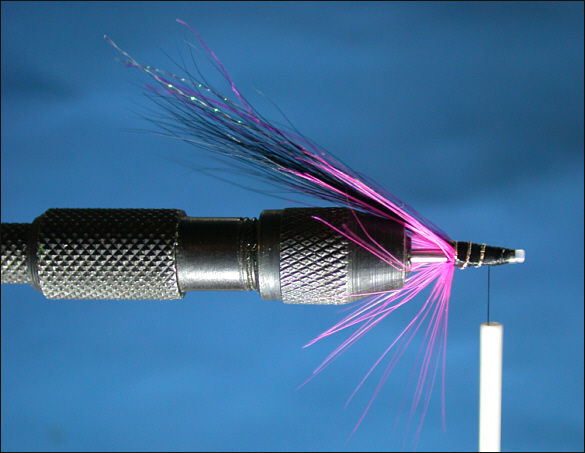 The Magus Shrimp Tube Fly - step 4