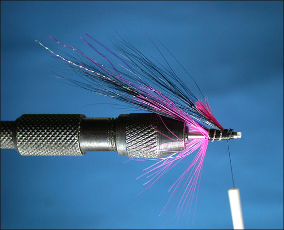 The Magus Shrimp Tube Fly - step 5