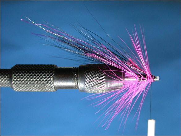 The Magus Shrimp Tube Fly - step 6