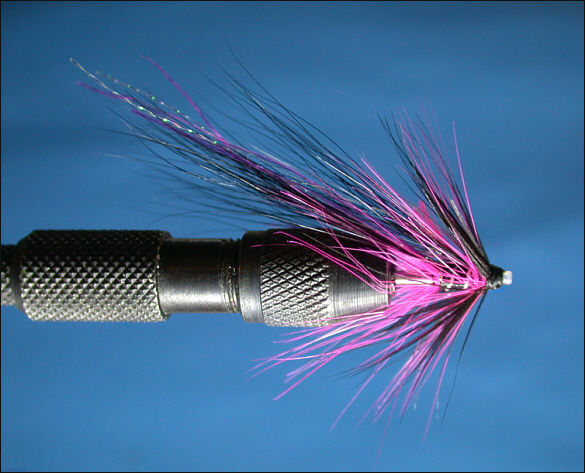 The Magus Shrimp Tube Fly - step 7