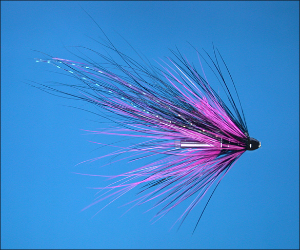 The Magus Shrimp Tube Fly