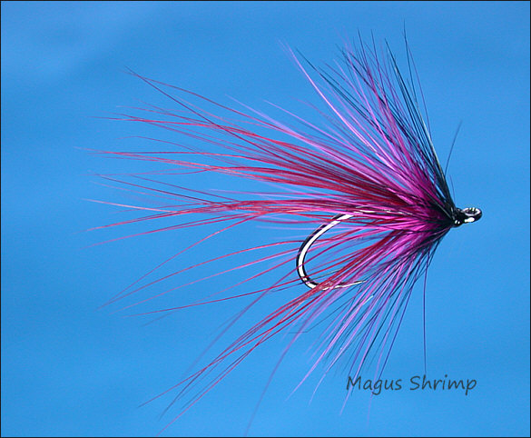 The Magus Shrimp Single